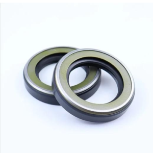 Hydraulic Oil Seals