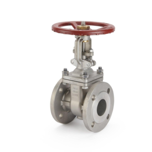 Stainless Steel Gate Valve